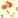 Color: Fruit
