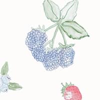 Color: Summer Berries