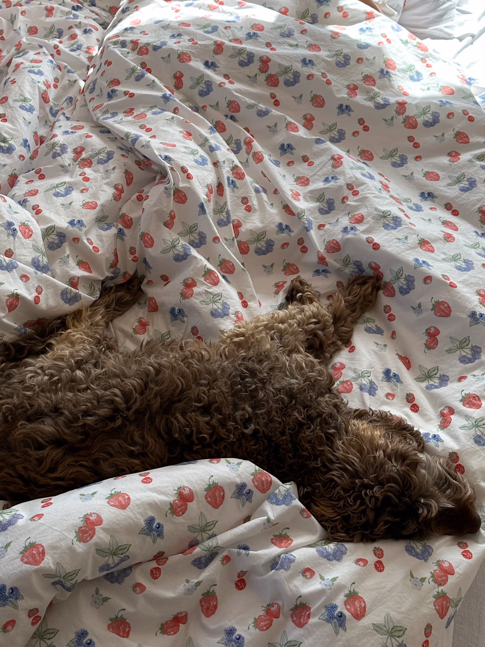 Duvet Cover Summer Berries - Single