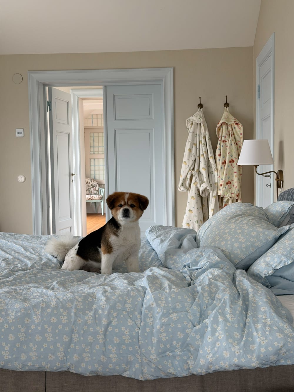 Djerf Avenue, robes, dressing gowns, soft terry robes, organic cotton ...