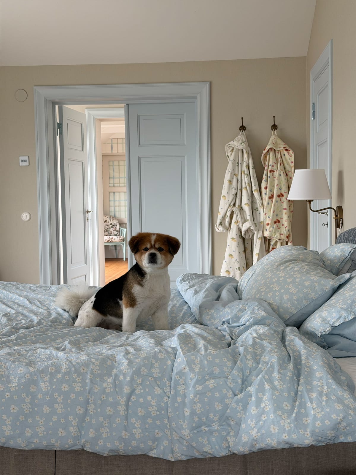 Duvet Cover Dream Cake - Single