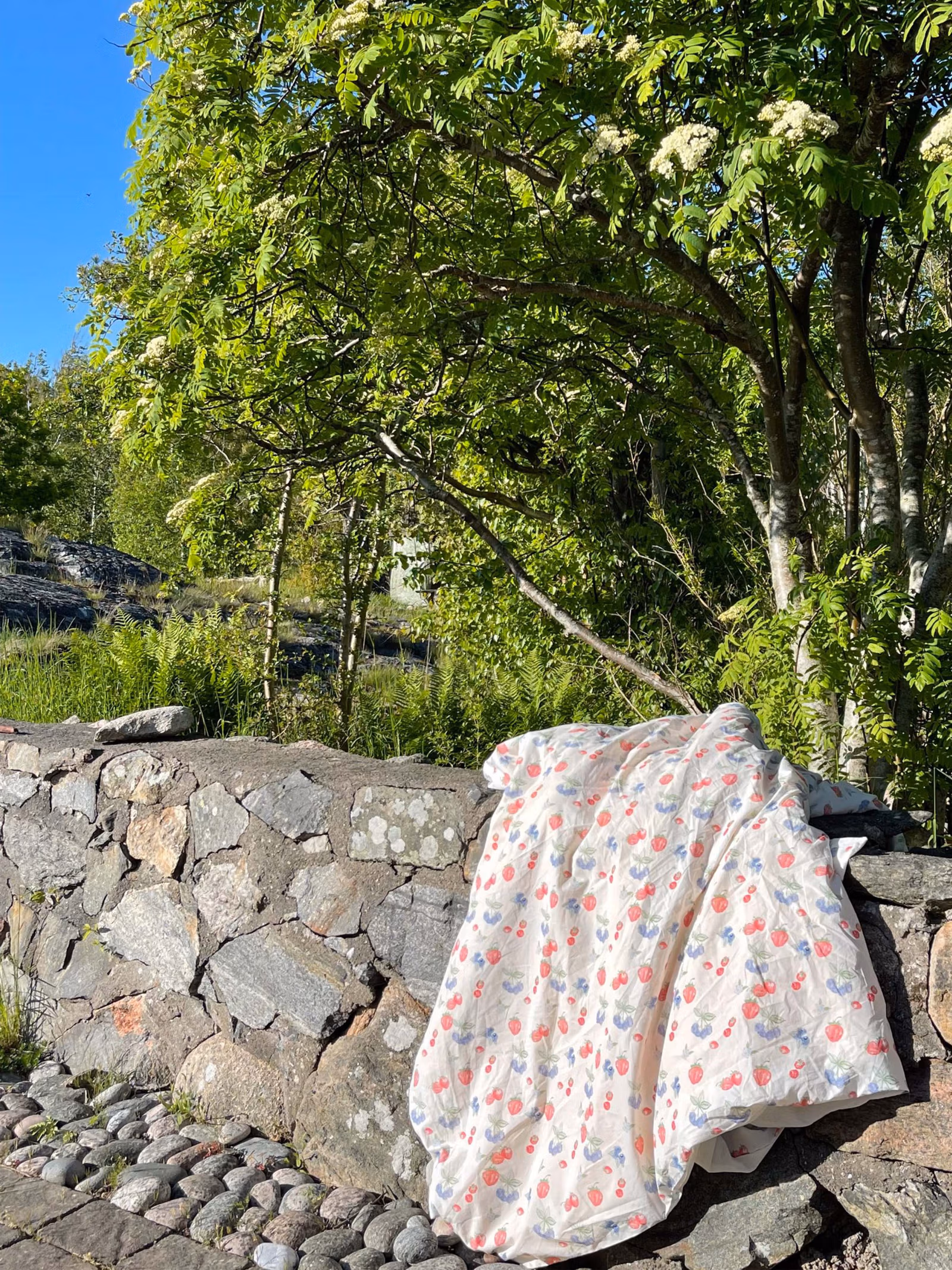 Duvet Cover Summer Berries - Single