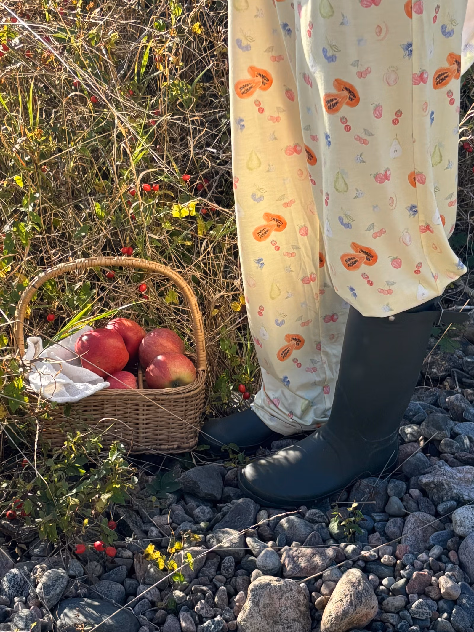 Go Slow Pants Fruit