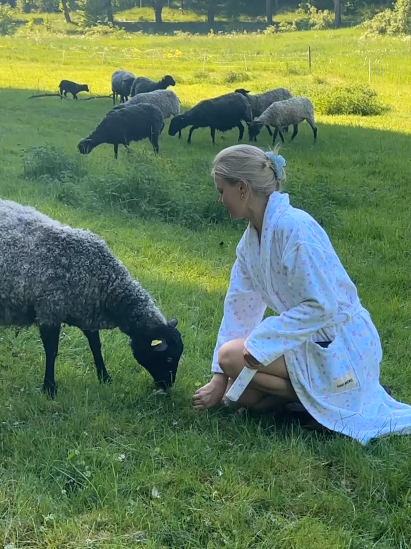 Robe Summer Field