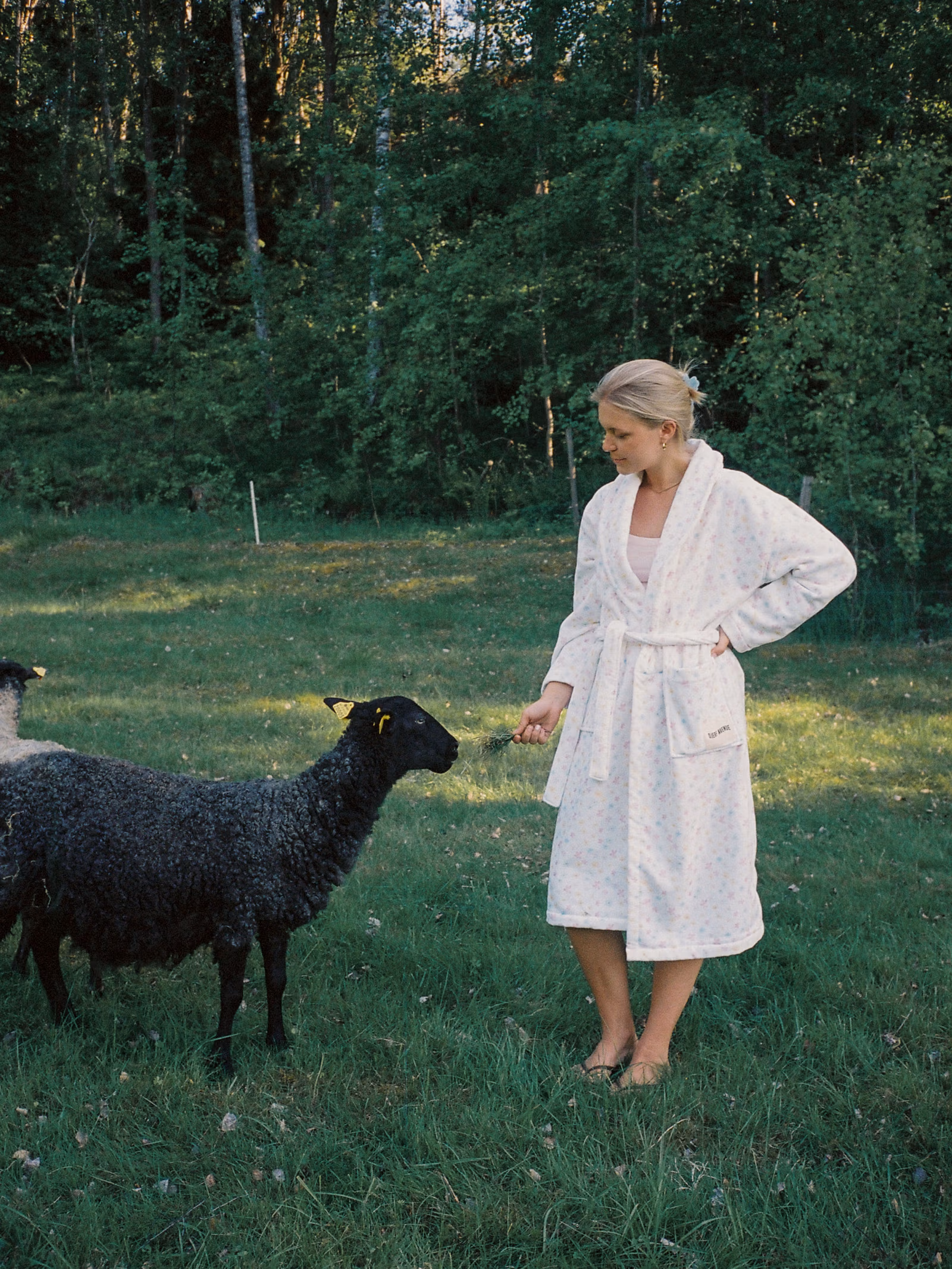 Robe Summer Field