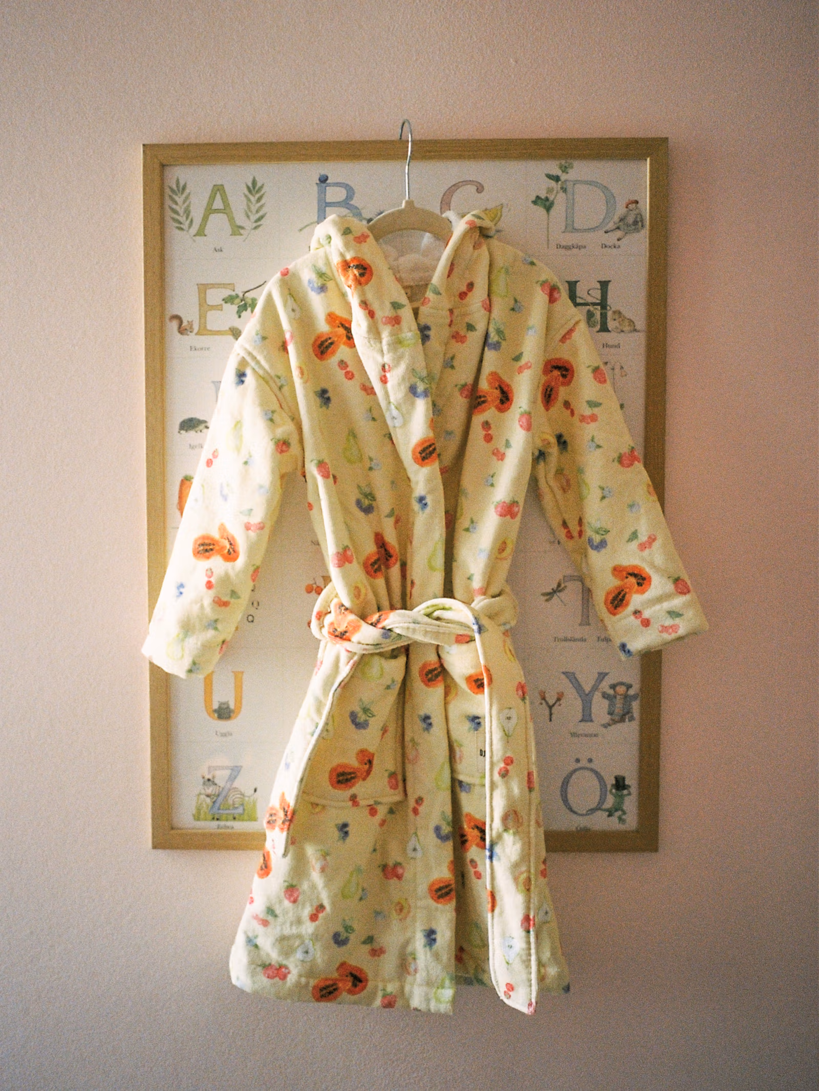 Mini Robe Fruit