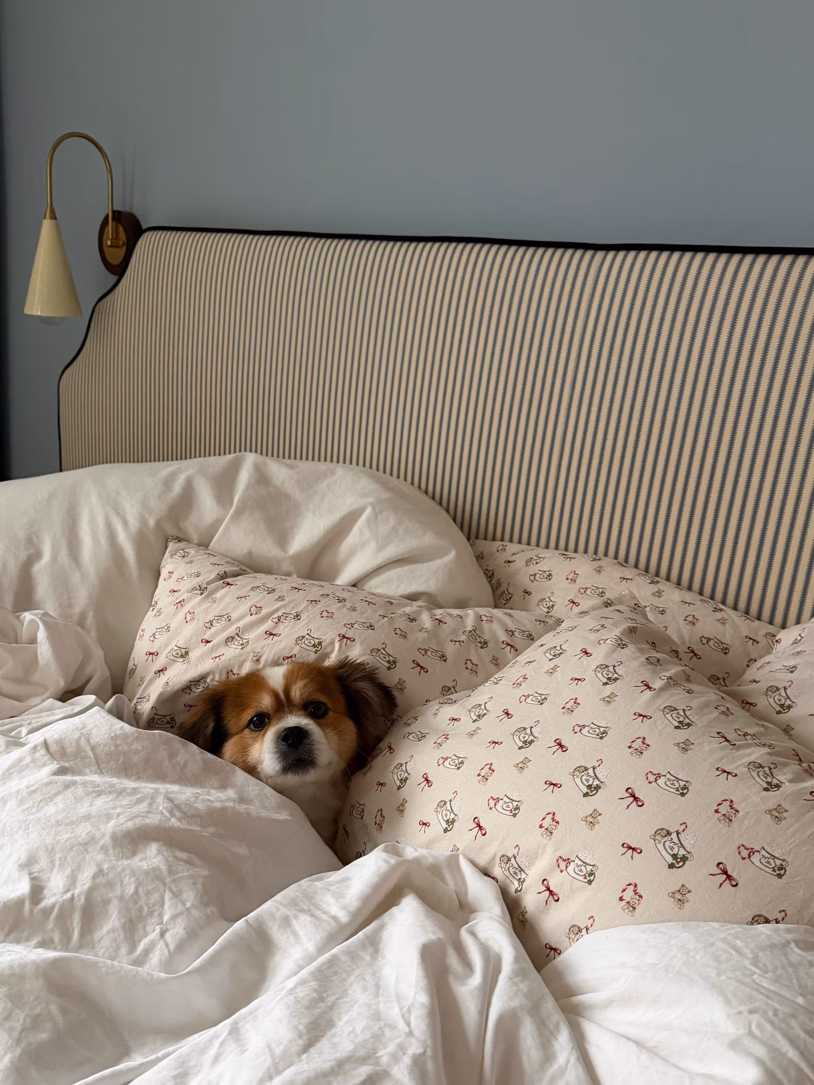 Pillow Case Holiday Bears