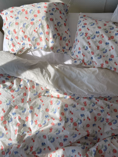 Pillow Case Summer Berries