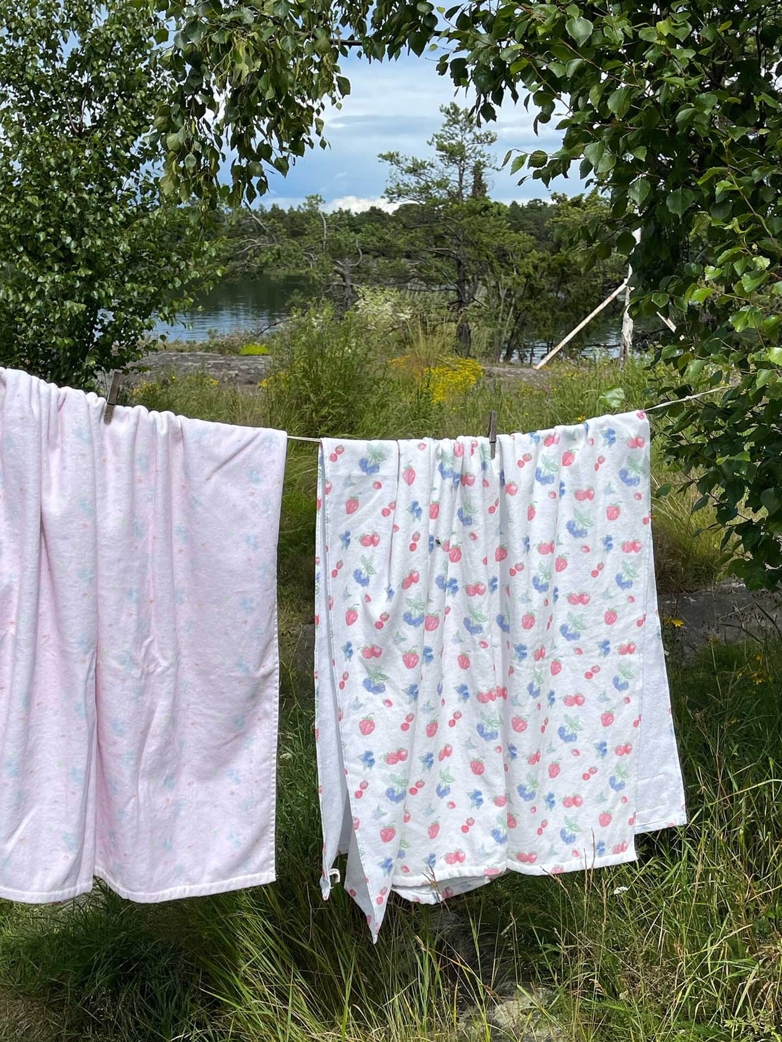 Summer Berries Towel